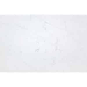 17- Et Statuario | Most Popular Quartz Color