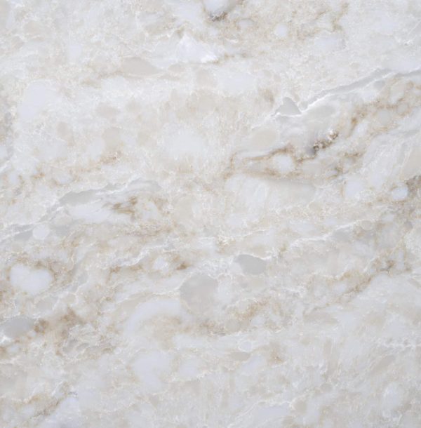Avora Close Up