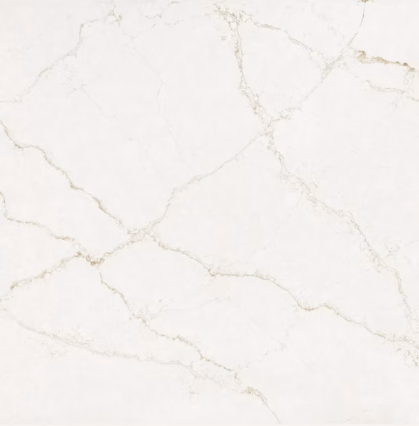 Blanc Elysee Close Up