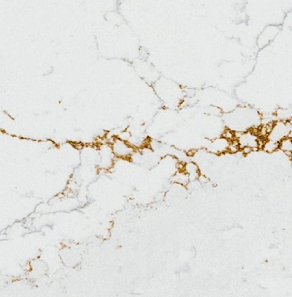 est-living-silestone-ethereal-glow-02